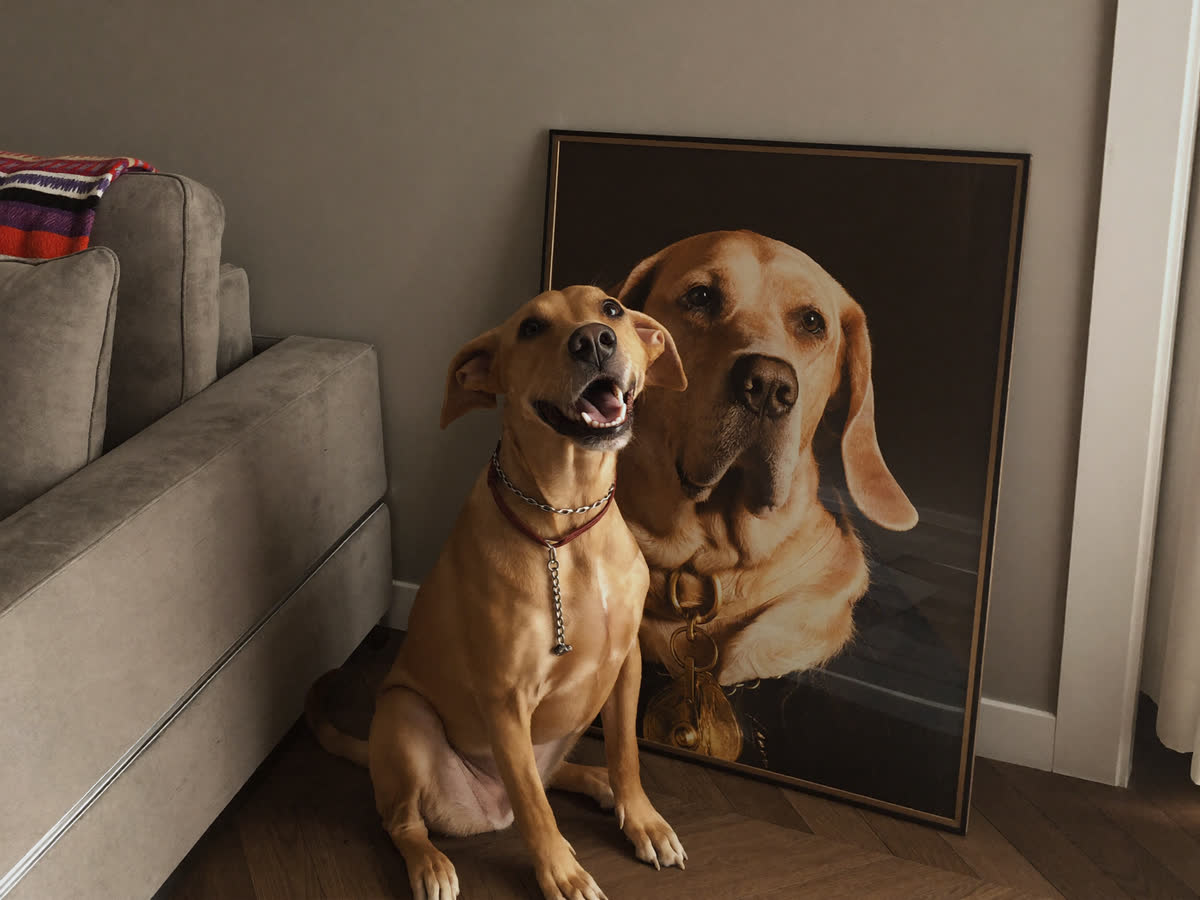 Tierportraits als Wanddekoration im Wohnzimmer